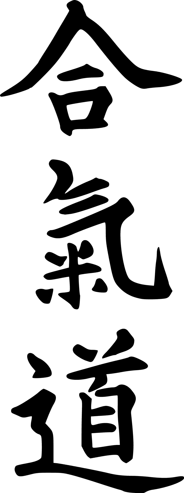 Aikido Kanji Calligraphy PNG Image