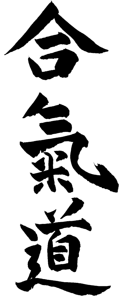 Aikido Kanji Calligraphy PNG Image