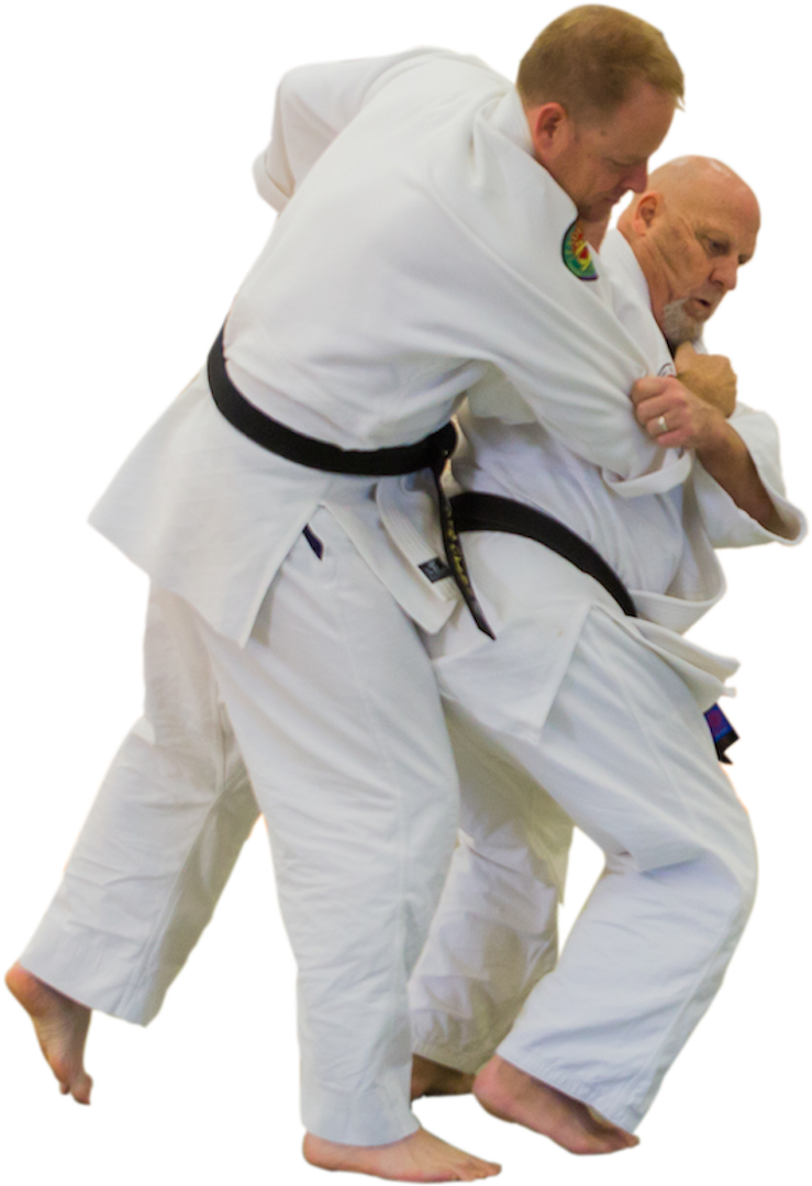 Aikido Technique Demonstration PNG Image