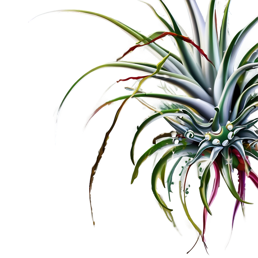 Air Plant Clipart Png Kgs PNG Image