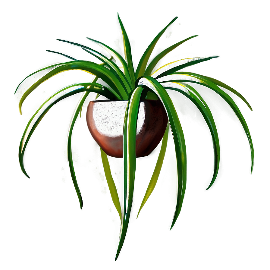 Air Plant Clipart Png Vko19 PNG Image