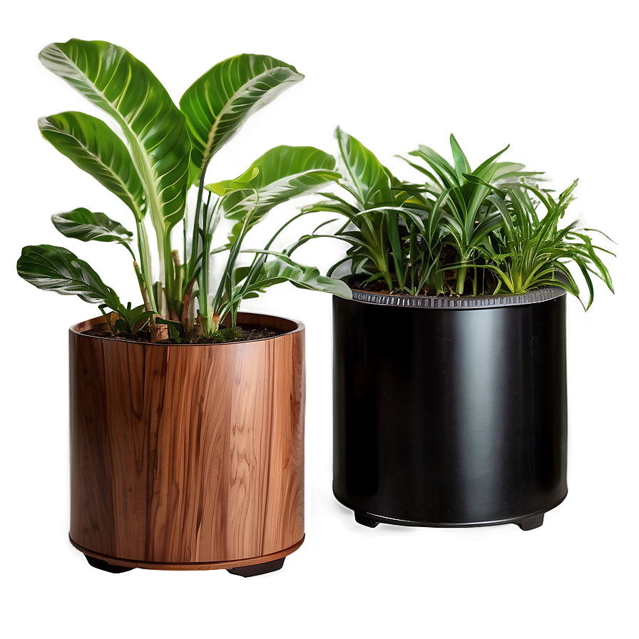 Air Purifying Plants Png 59 PNG Image