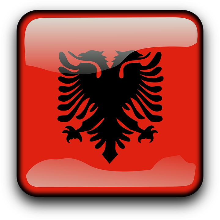 Albanian Eagle Icon PNG Image