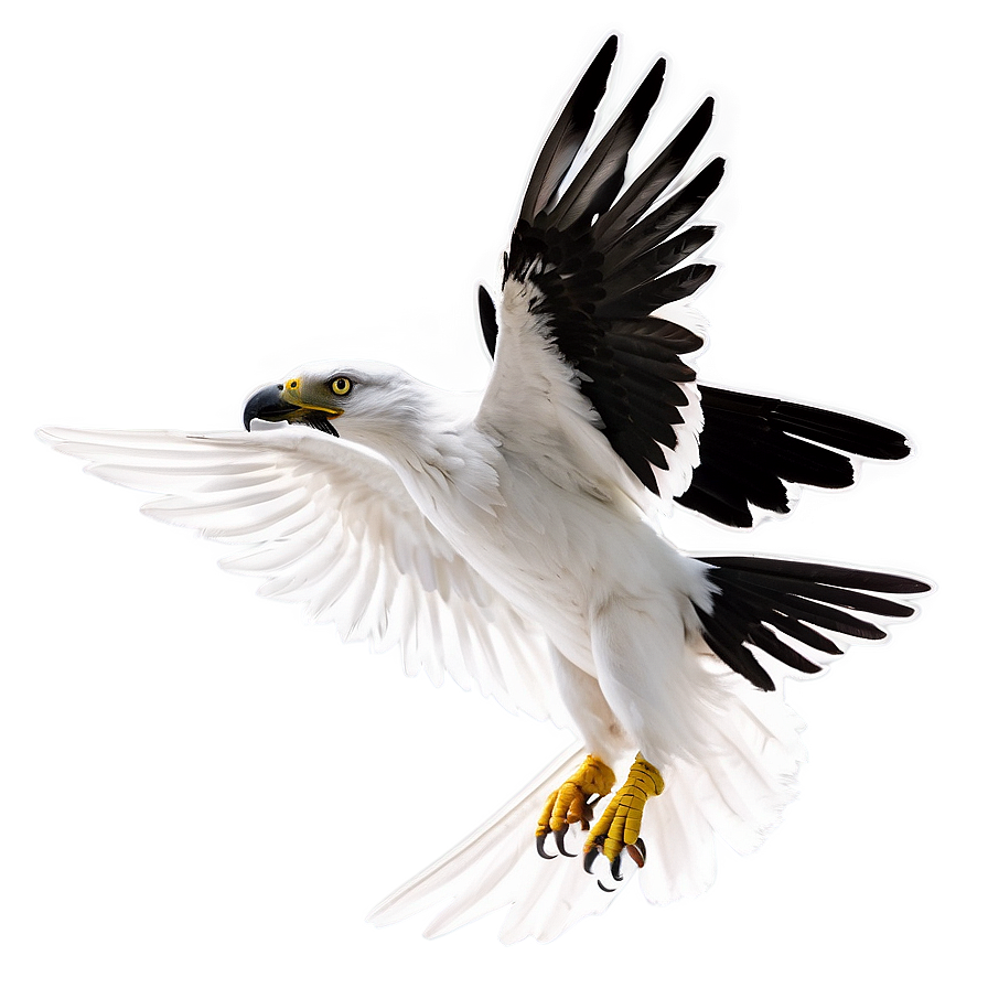 Albedo In Flight Png 06272024 PNG Image