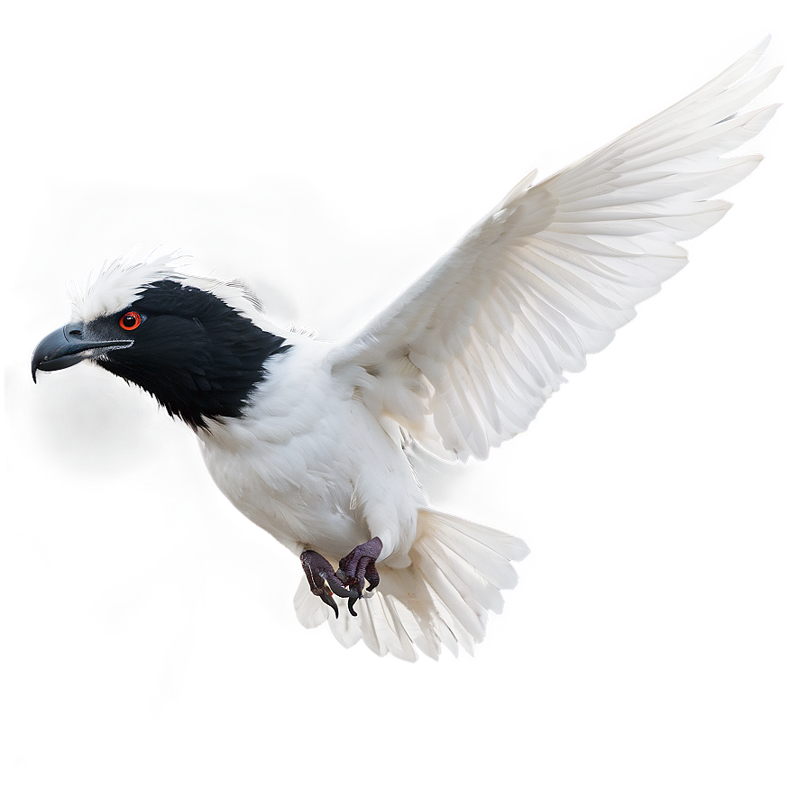 Albedo In Flight Png Vbg PNG Image