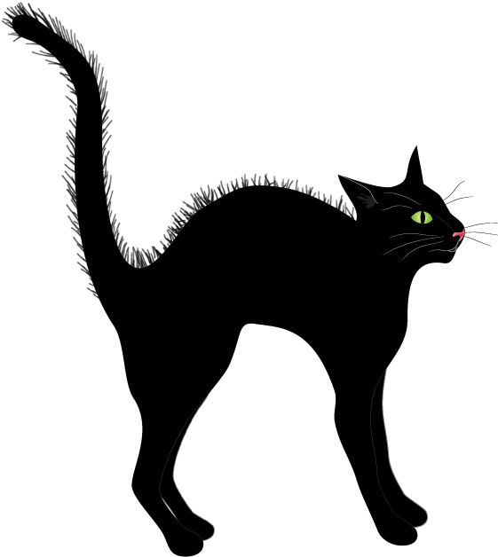 Alert Black Cat Illustration.png PNG Image