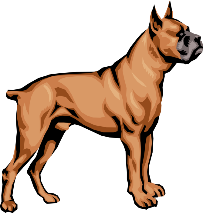 Alert Boxer Dog Illustration PNG Image