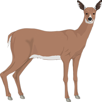 Alert Brown Deer Illustration PNG Image