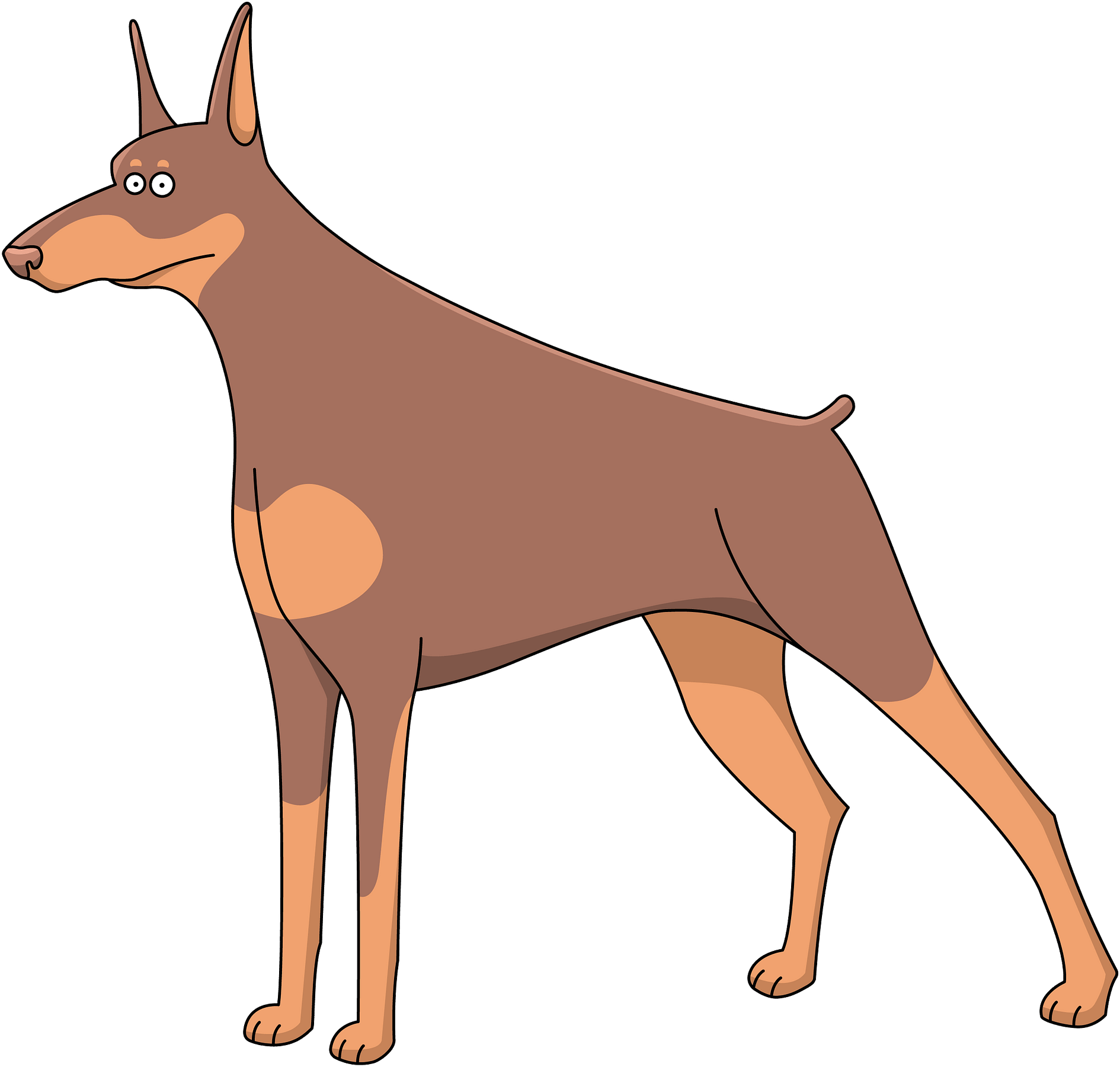 Alert Doberman Cartoon Illustration PNG Image