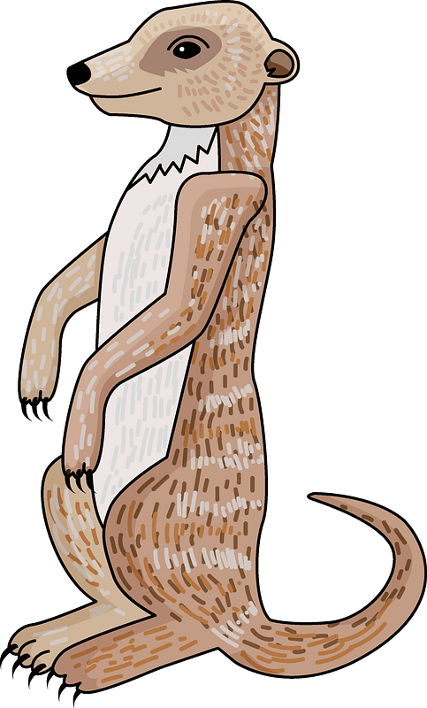 Alert Meerkat Illustration PNG Image