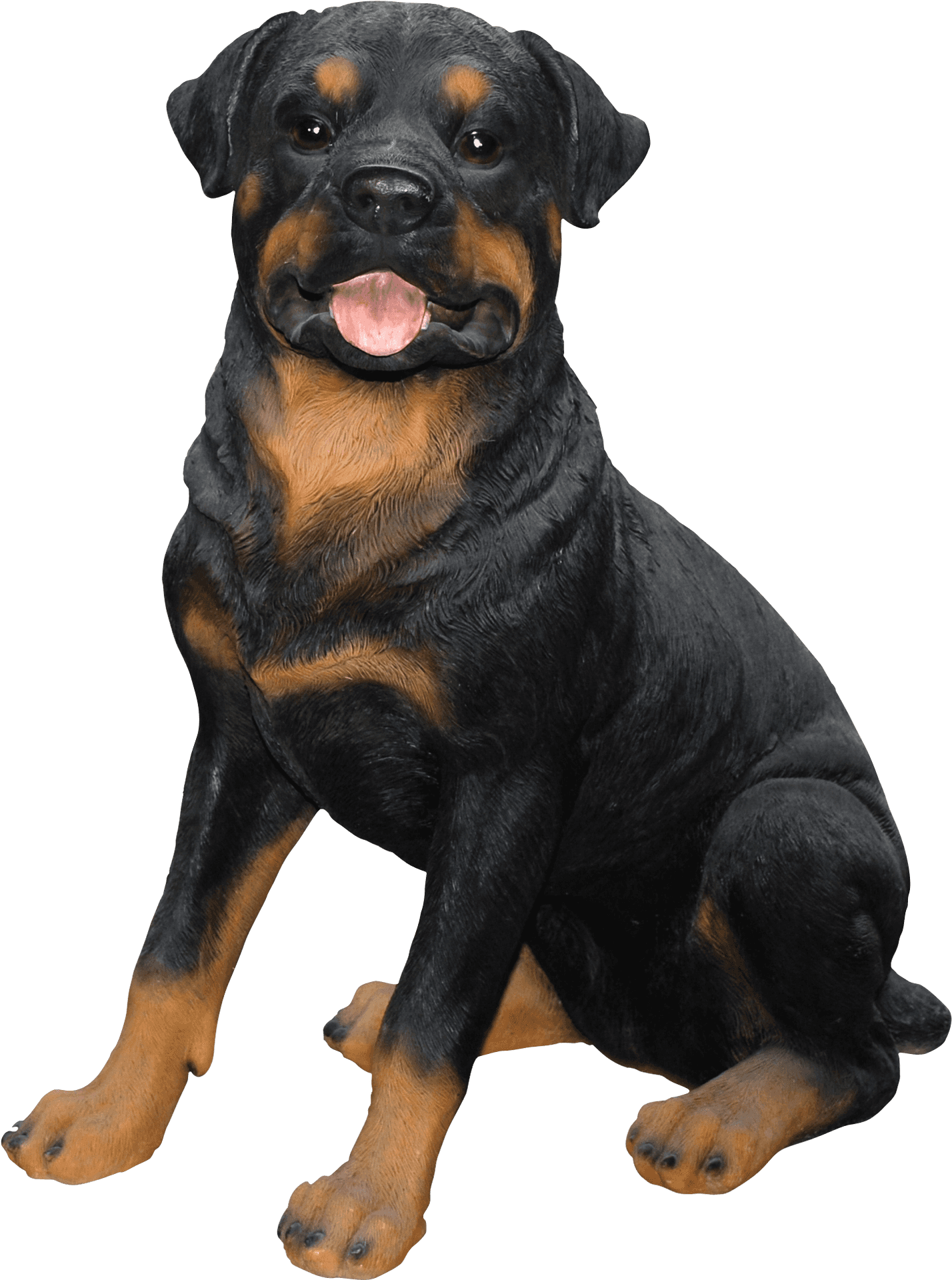 Alert Rottweiler Sitting PNG Image