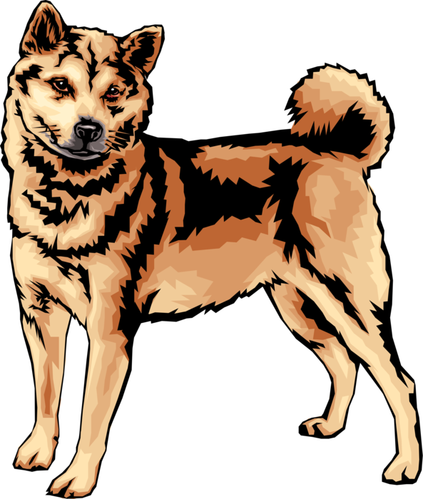 Alert Shiba Inu Illustration.png PNG Image