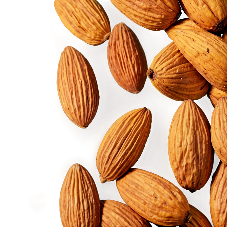 Almond Harvest Png 05242024 PNG Image