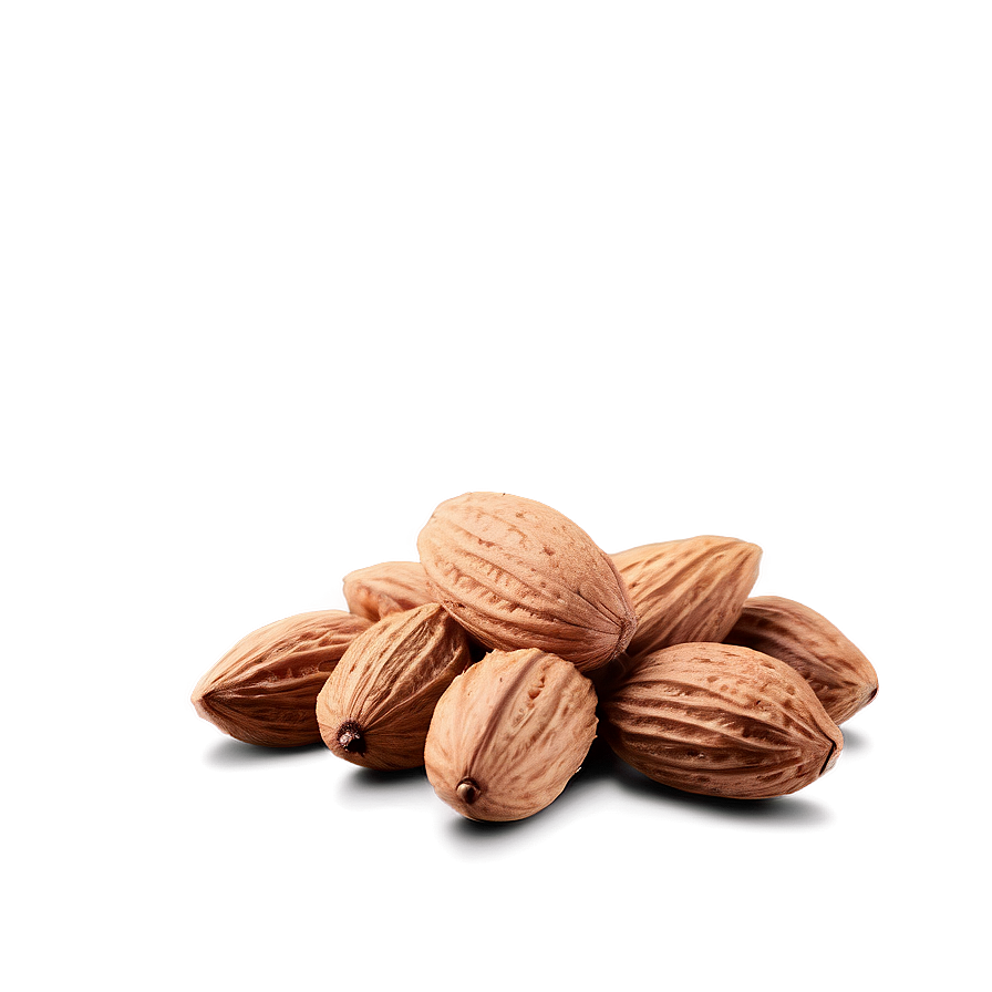 Almond Nut Png 48 PNG Image