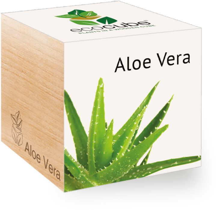 Aloe Vera Eco Cubes Packaging PNG Image