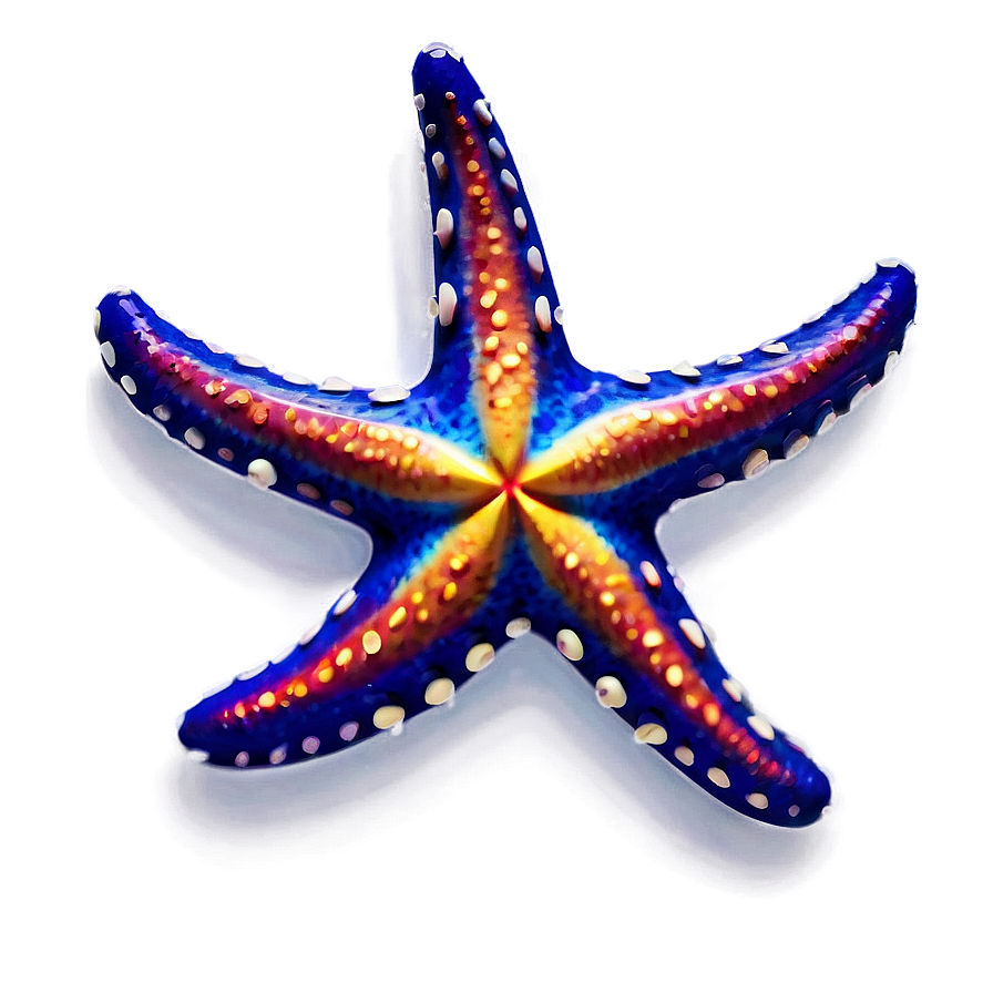 Aloha Starfish Pattern Png Sip78 PNG Image