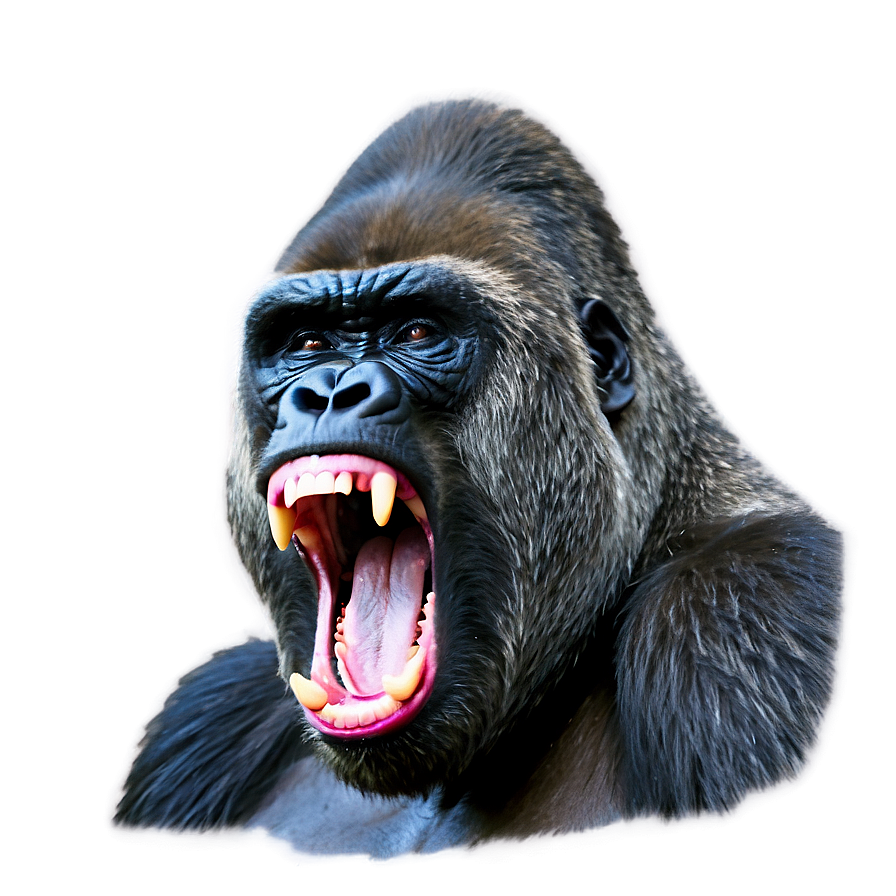 Alpha Gorilla In Anger Png Vir18 PNG Image