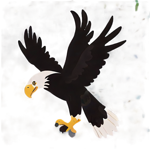 American Bald Eagle Portrait Png B PNG Image