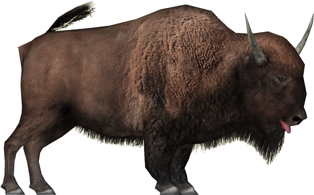 American Bison Side View PNG Image