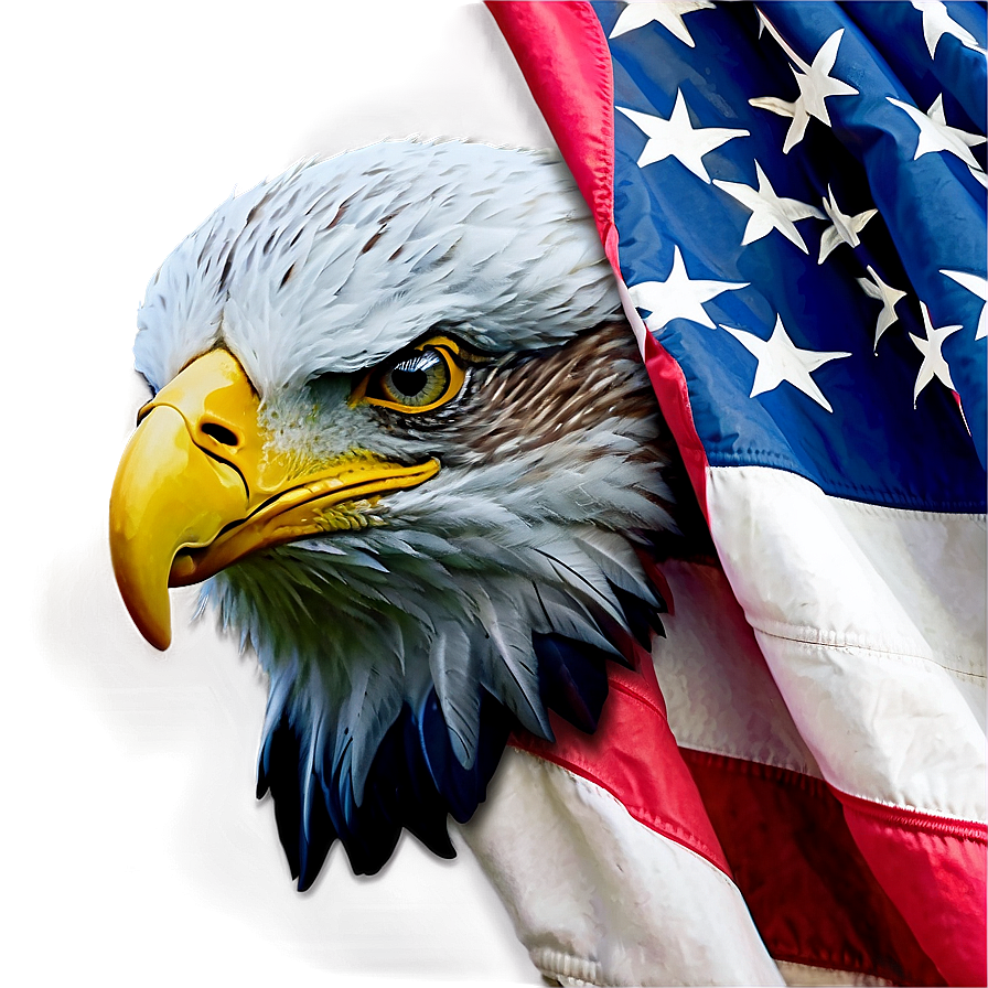 American Eagle C PNG Image