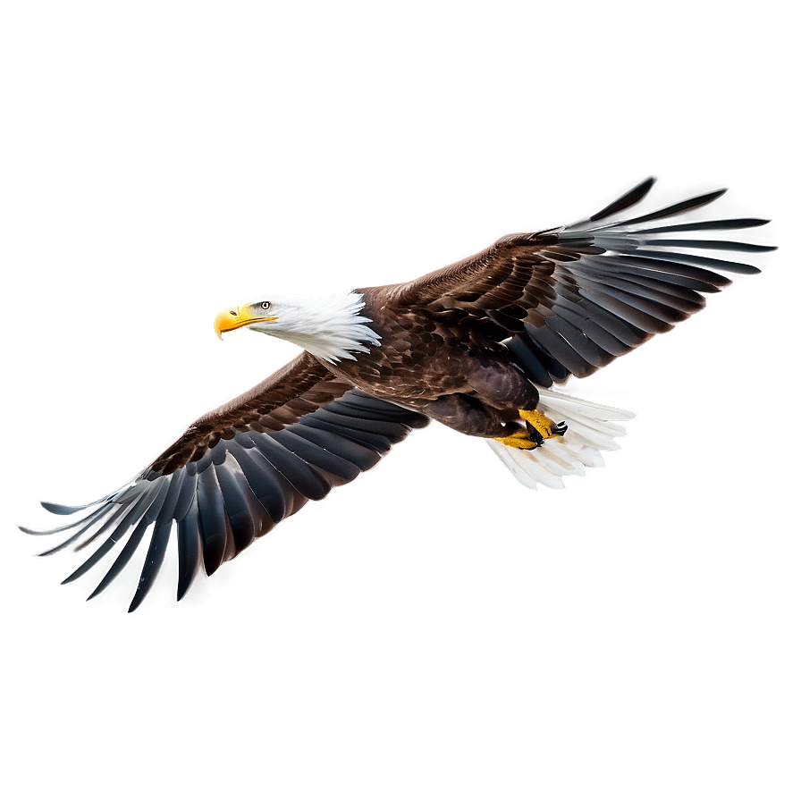 American Eagle In Flight Png 21 PNG Image