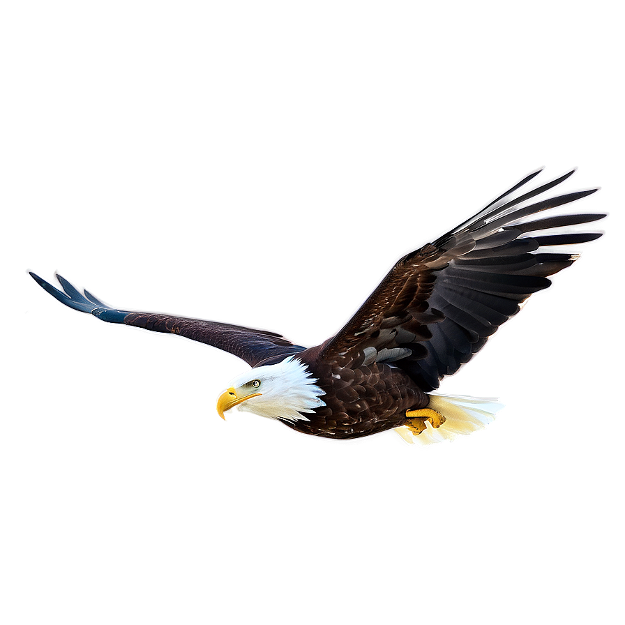 American Eagle In Forest Png Hou92 PNG Image