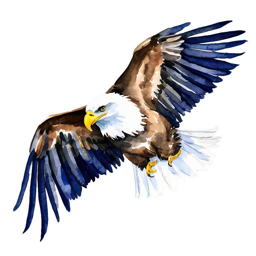 American Eagle Watercolor Png 84 PNG Image