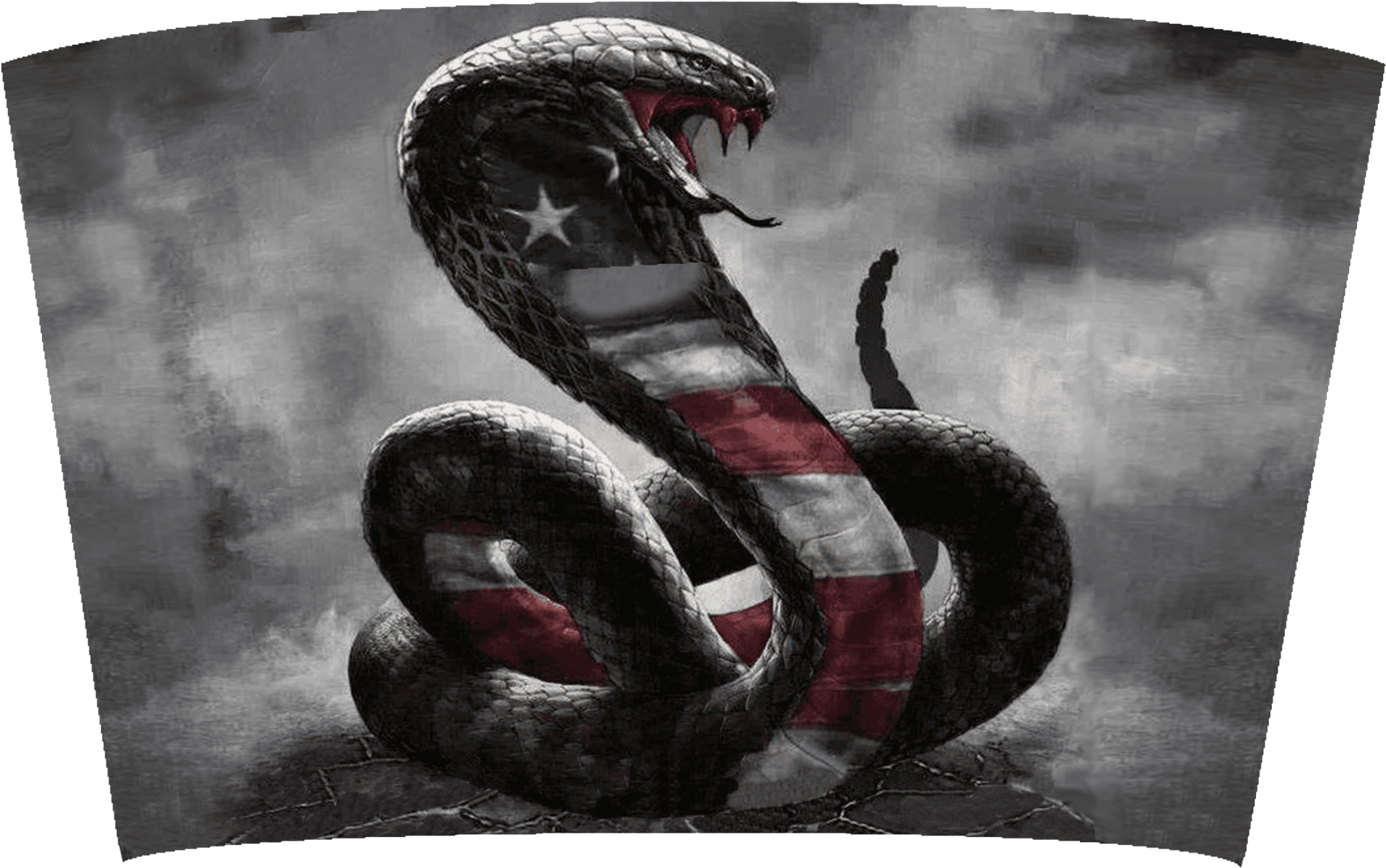 American Flag Cobra Artwork PNG Image