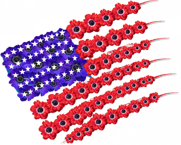 American Flag Poppies Memorial Day PNG Image