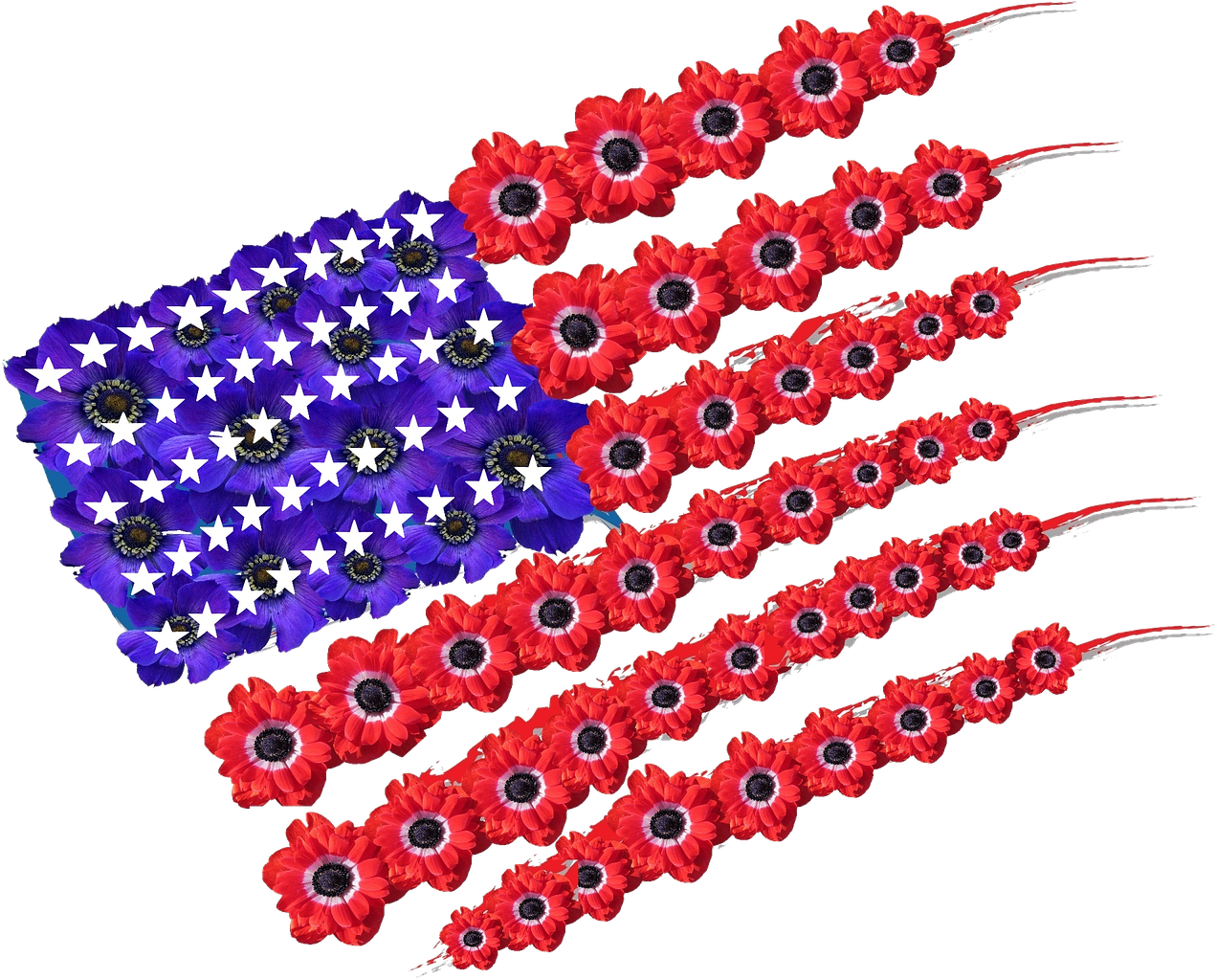 American Flag Poppies Memorial Day PNG Image