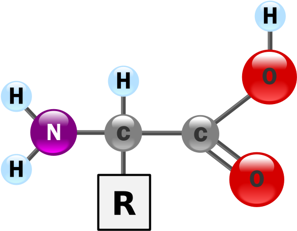 Amino Acid Structure Representation PNG Image