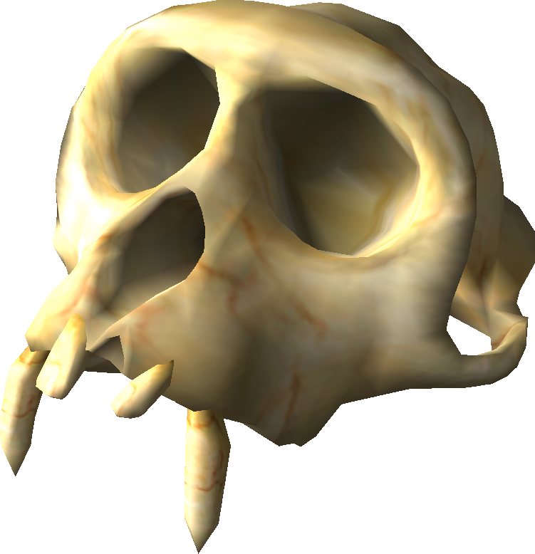 Ancient Skull Fossil3 D Render PNG Image