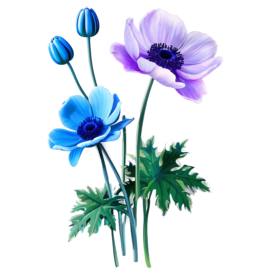 Anemone Flower Illustration Png Htp PNG Image