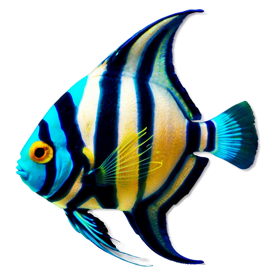 Angel Fish Transparent Png 05262024 PNG Image