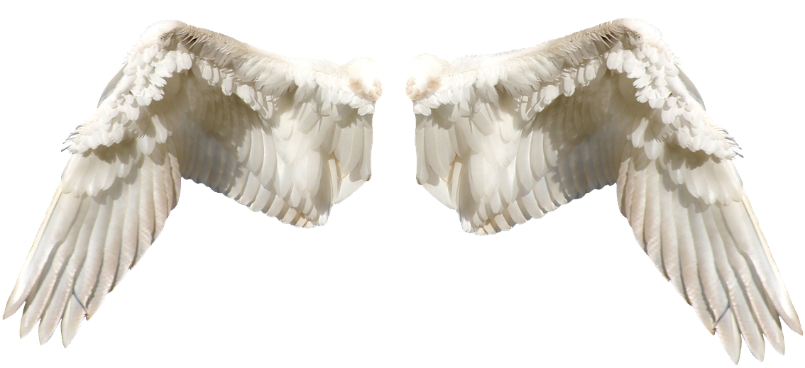 Angel Wings Isolatedon Transparent Background PNG Image