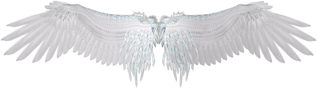 Angel Wings Spread White Feathers PNG Image