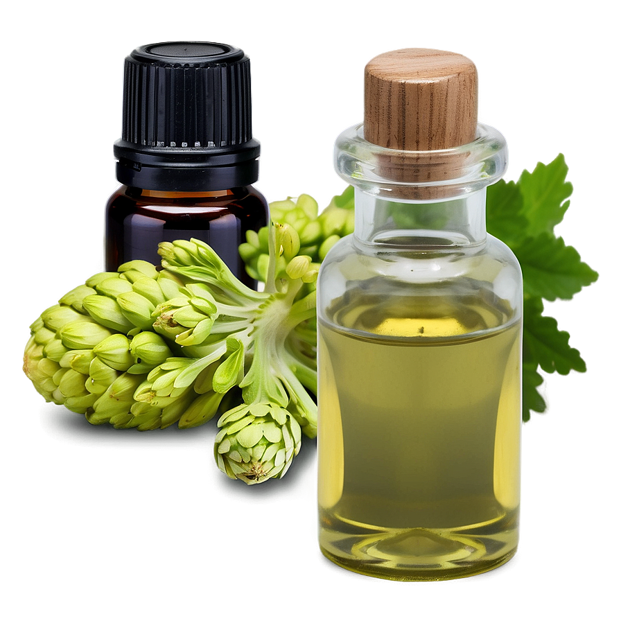 Essential Oil PNG Images - PNGImages.com