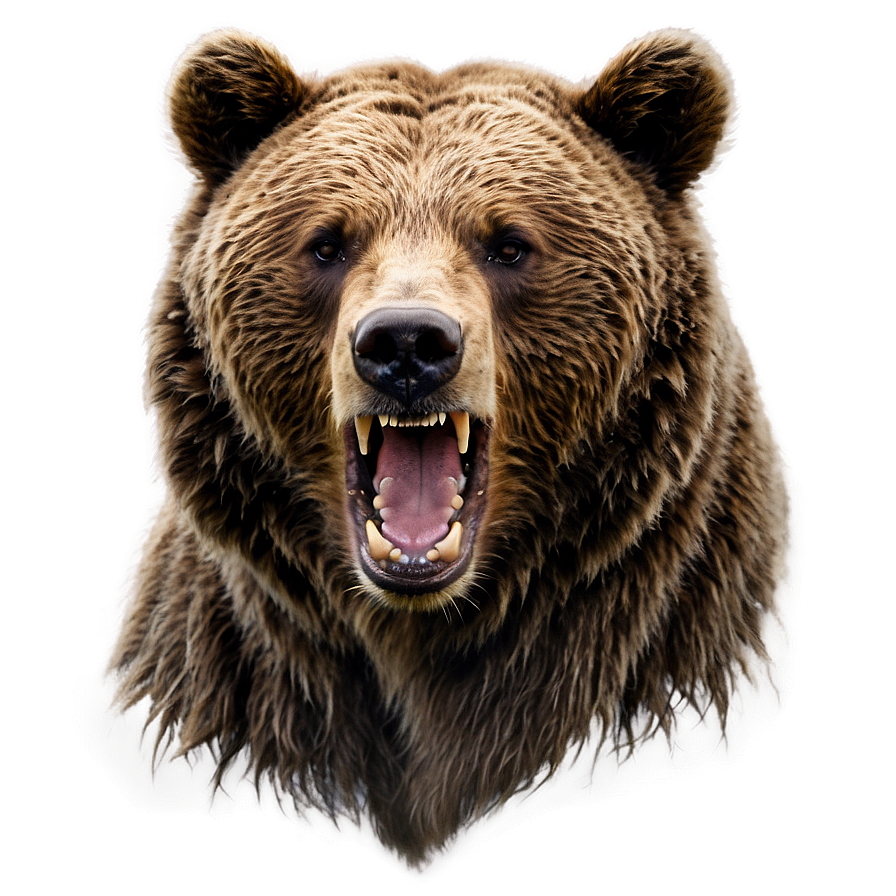 Angry Bear Png Ert89 PNG Image