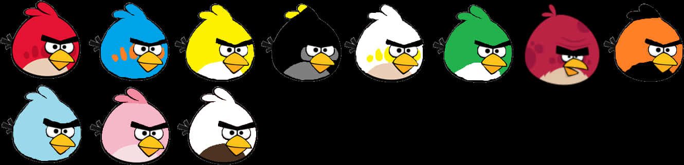 Angry Birds Character Lineup PNG Image