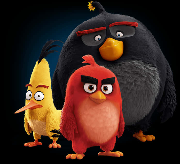 Angry Birds Characters Group Portrait PNG Image