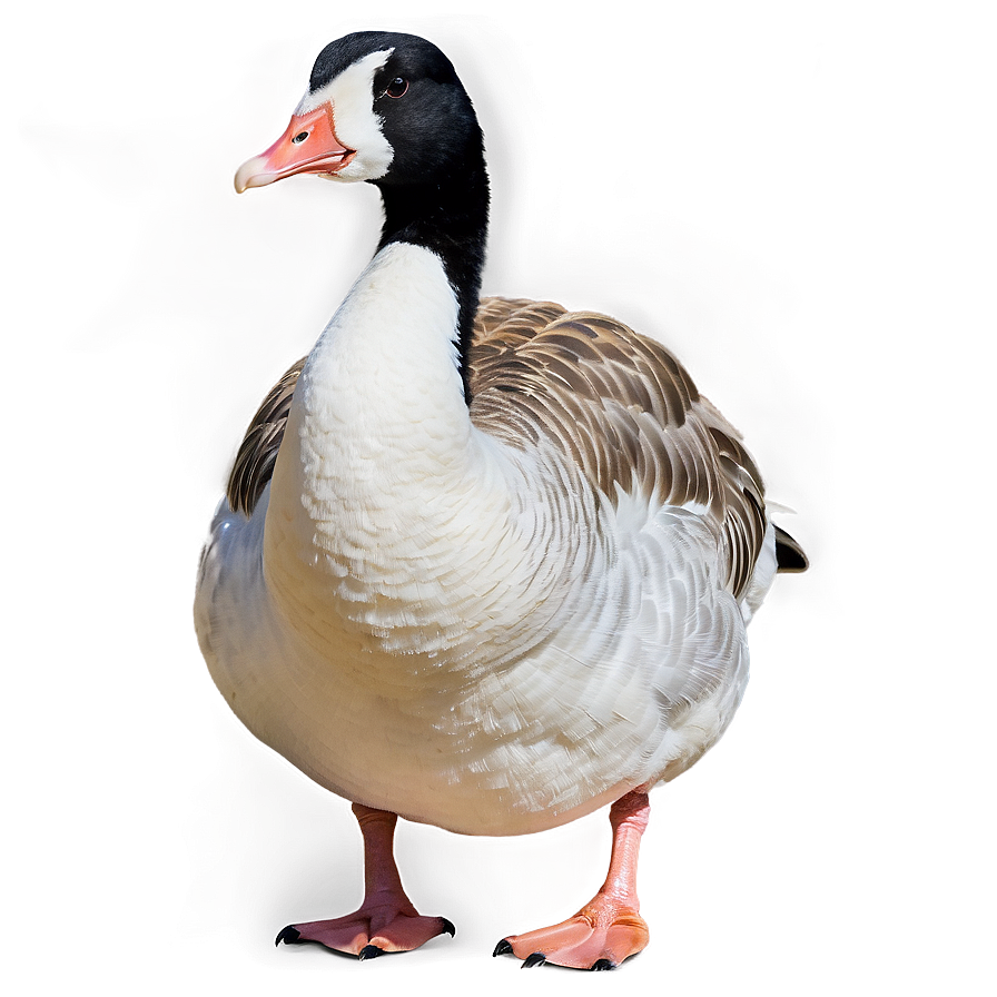 Angry Goose Expression Png Dot PNG Image