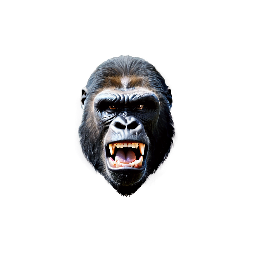 Angry Gorilla Face Png Eum PNG Image