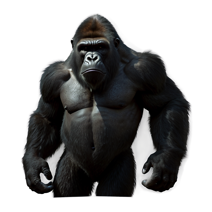 Angry Gorilla Silhouette Png Ldw PNG Image