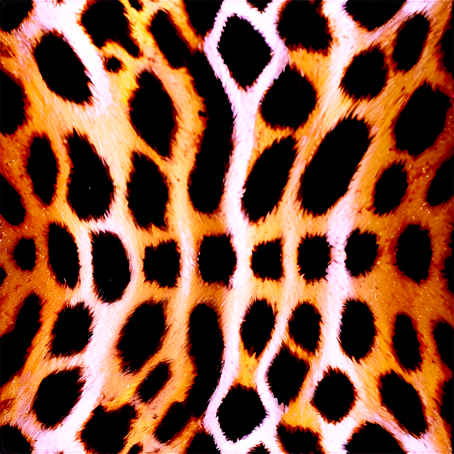 Animal Print Square Png 06252024 PNG Image