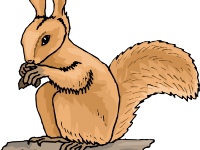 Animated Brown Squirrel Eating PNG Image