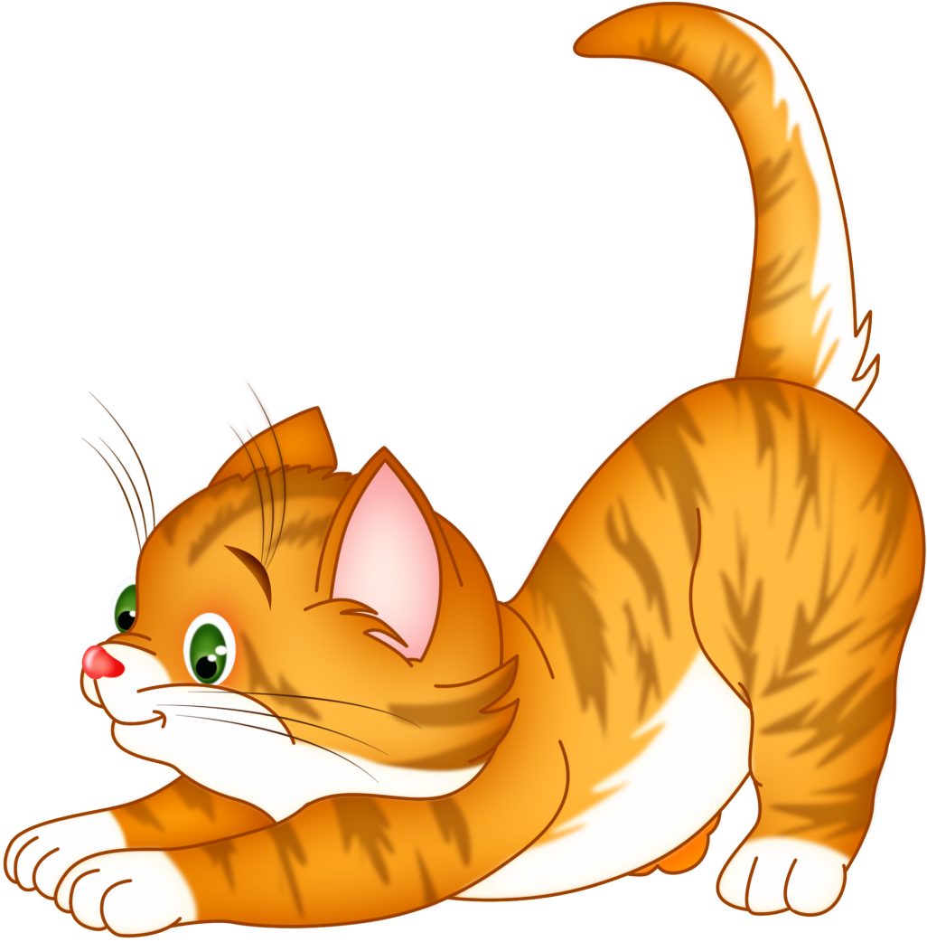 Animated Cat Stretching PNG Image