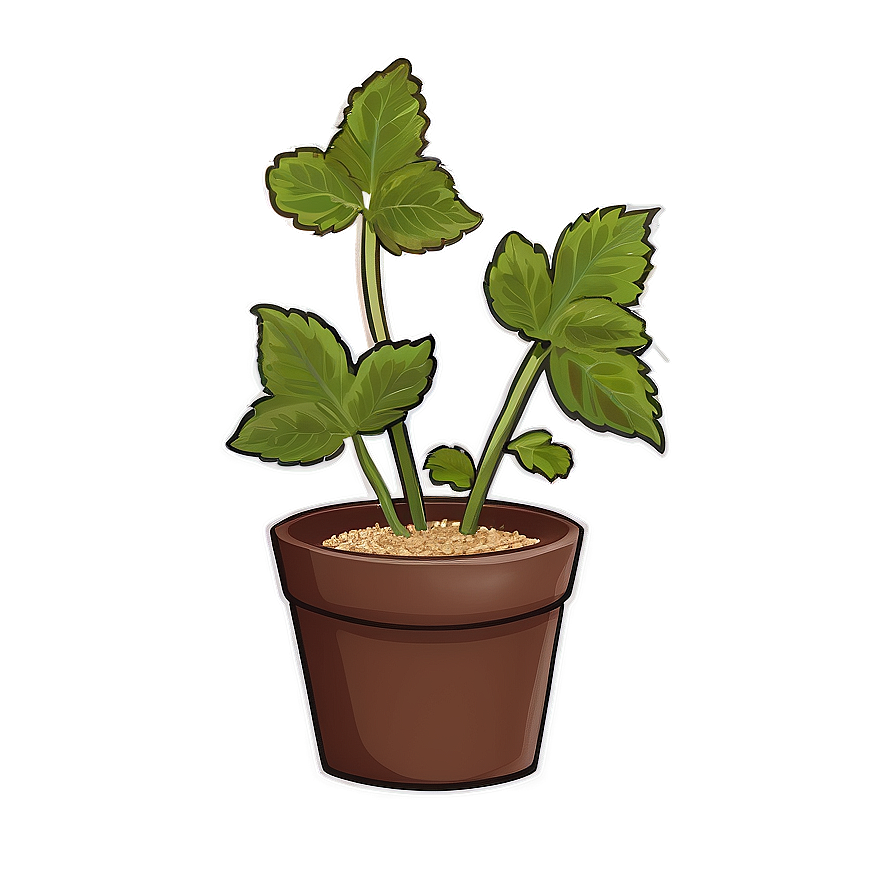 Animated Catnip Plant Png 59 PNG Image