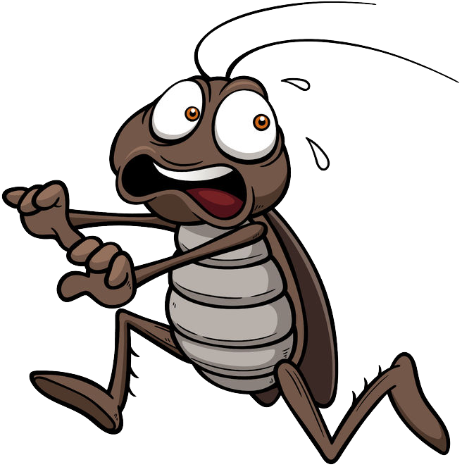 Animated Cockroach Character PNG Image