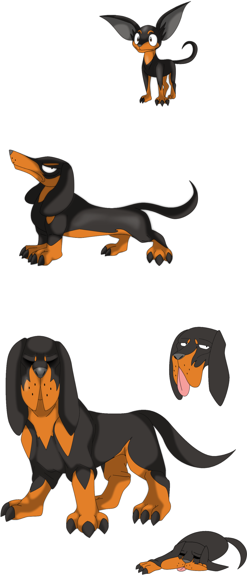 Animated Dachshund Expressions PNG Image