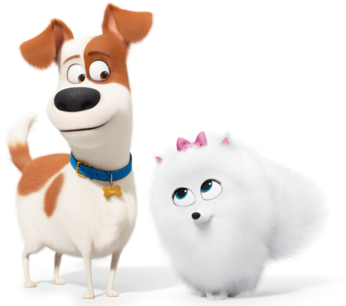 Animated Dogand Fluffy Cat Friends PNG Image